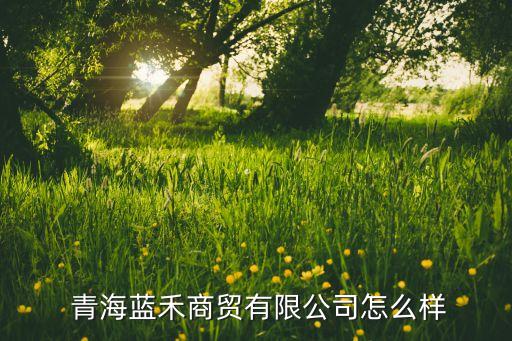  青海藍(lán)禾商貿(mào)有限公司怎么樣