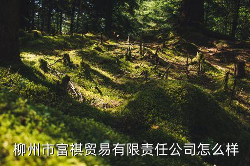  柳州市富祺貿(mào)易有限責任公司怎么樣