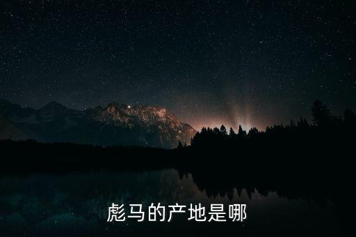 彪馬的產(chǎn)地是哪