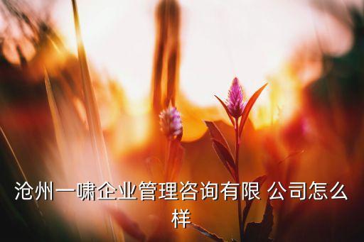 滄州一嘯企業(yè)管理咨詢有限 公司怎么樣