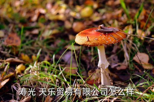 壽光 天樂(lè)貿(mào)易有限公司怎么樣