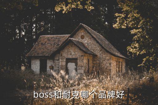 boss和耐克哪個(gè)品牌好