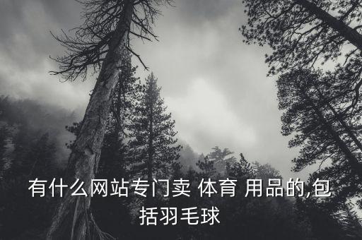 有什么網(wǎng)站專門賣 體育 用品的,包括羽毛球