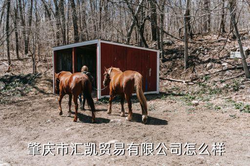  肇慶市匯凱貿(mào)易有限公司怎么樣