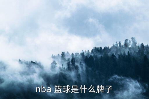 nba 籃球是什么牌子