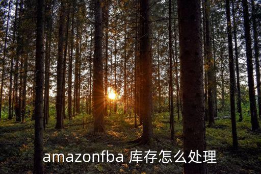 amazonfba 庫(kù)存怎么處理