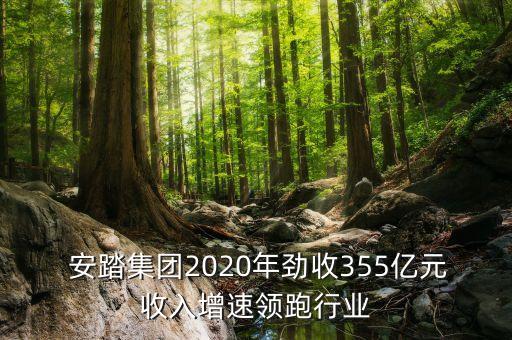  安踏集團(tuán)2020年勁收355億元收入增速領(lǐng)跑行業(yè)