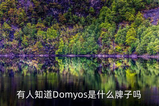 有人知道Domyos是什么牌子嗎