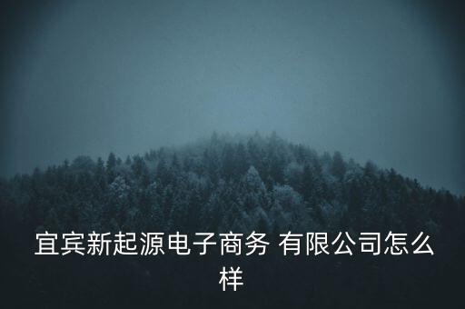  宜賓新起源電子商務(wù) 有限公司怎么樣