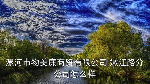 漯河市物美廉商貿(mào)有限公司 嫩江路分公司怎么樣