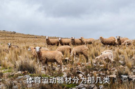  體育運動器材分為那幾類