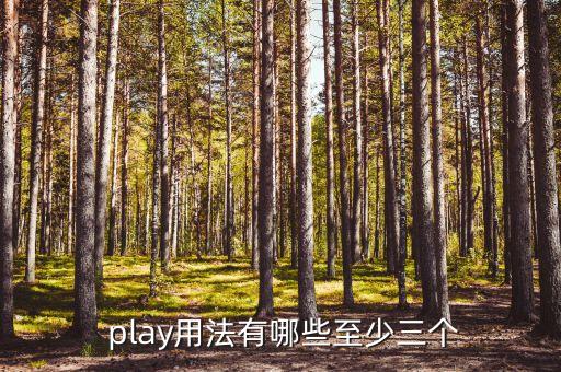  play用法有哪些至少三個