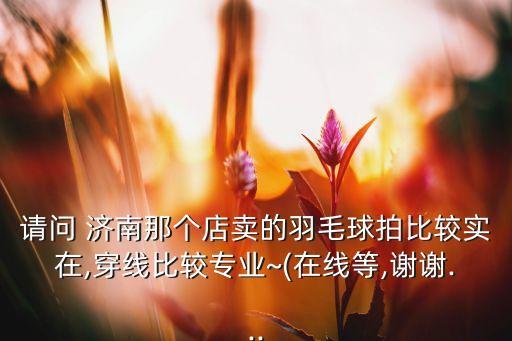 請問 濟南那個店賣的羽毛球拍比較實在,穿線比較專業(yè)~(在線等,謝謝...