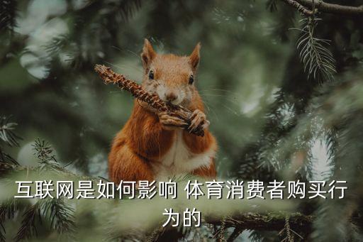 互聯(lián)網(wǎng)是如何影響 體育消費(fèi)者購(gòu)買行為的