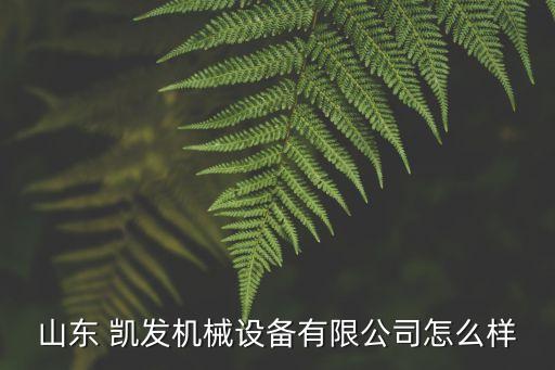 山東 凱發(fā)機(jī)械設(shè)備有限公司怎么樣