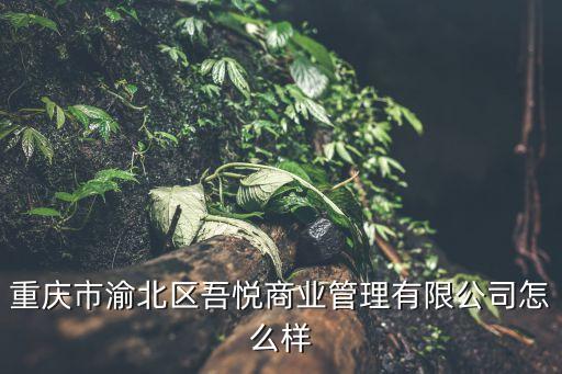 重慶市渝北區(qū)吾悅商業(yè)管理有限公司怎么樣