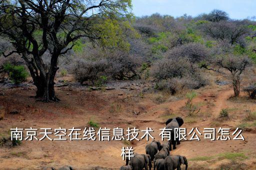 南京天空在線信息技術(shù) 有限公司怎么樣