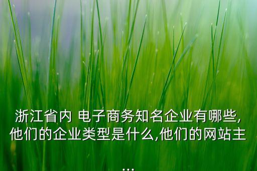 浙江省內(nèi) 電子商務(wù)知名企業(yè)有哪些,他們的企業(yè)類型是什么,他們的網(wǎng)站主...