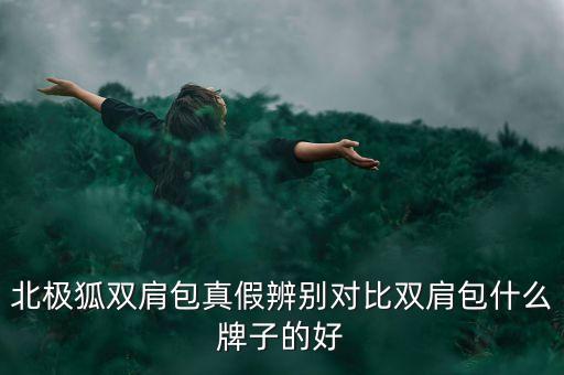 北極狐雙肩包真假辨別對比雙肩包什么牌子的好