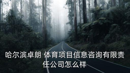 哈爾濱卓朗 體育項目信息咨詢有限責任公司怎么樣