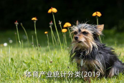  體育產(chǎn)業(yè)統(tǒng)計分類(2019