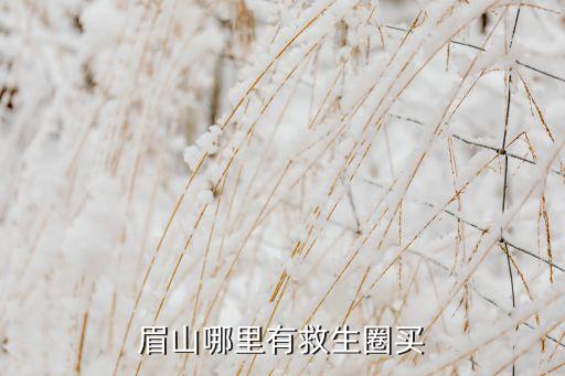 眉山哪里有救生圈買(mǎi)