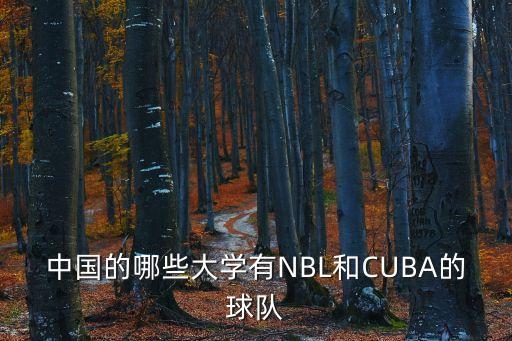 中國的哪些大學(xué)有NBL和CUBA的球隊(duì)