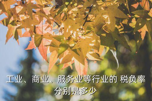 工業(yè)、商業(yè)、服務(wù)業(yè)等行業(yè)的 稅負(fù)率分別是多少