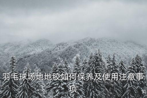 羽毛球場(chǎng)地地膠如何保養(yǎng)及使用注意事項(xiàng)