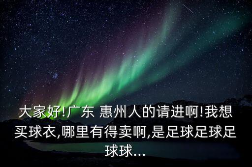 大家好!廣東 惠州人的請進(jìn)啊!我想買球衣,哪里有得賣啊,是足球足球足球球...