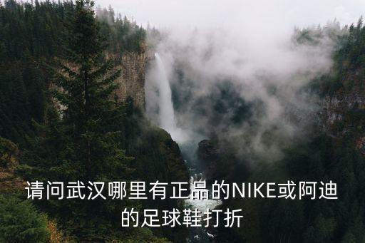 請問武漢哪里有正品的NIKE或阿迪的足球鞋打折