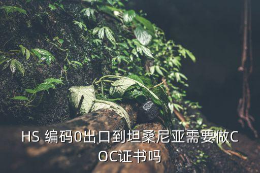 HS 編碼0出口到坦桑尼亞需要做COC證書嗎