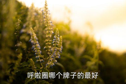 呼啦圈哪個(gè)牌子的最好