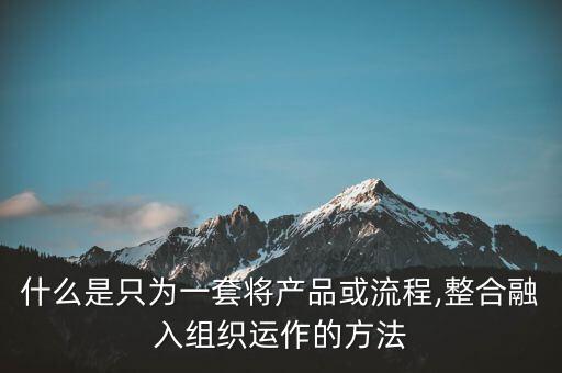 什么是只為一套將產(chǎn)品或流程,整合融入組織運作的方法