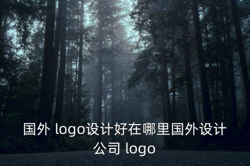 國(guó)外 logo設(shè)計(jì)好在哪里國(guó)外設(shè)計(jì)公司 logo