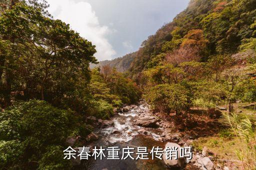 余春林重慶是傳銷嗎