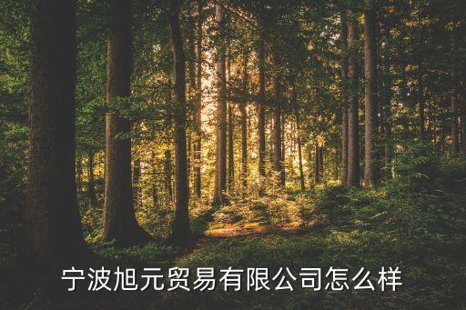 寧波旭元貿(mào)易有限公司怎么樣