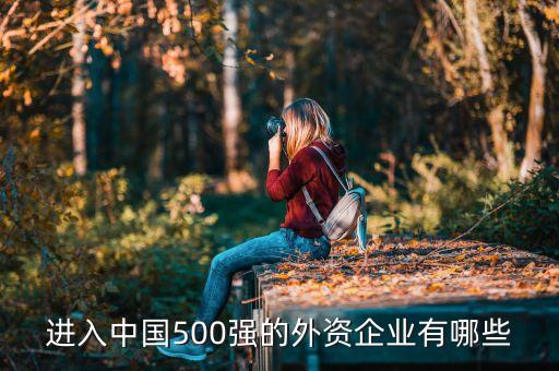 進入中國500強的外資企業(yè)有哪些