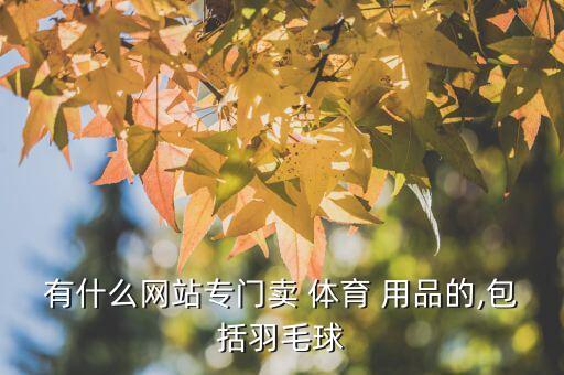 有什么網(wǎng)站專門賣 體育 用品的,包括羽毛球