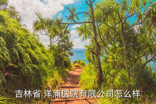 吉林省 洋浦醫(yī)院有限公司怎么樣