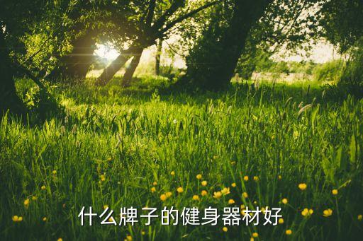 常見體育用品哪個好,體育用品app哪個網(wǎng)站好