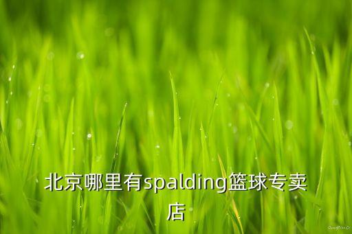 北京哪里有spalding籃球?qū)Ｙu店