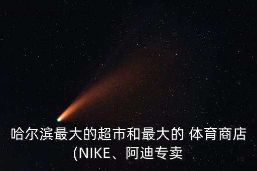 哈爾濱最大的超市和最大的 體育商店(NIKE、阿迪專(zhuān)賣(mài)