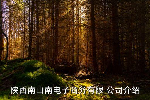 陜西南山南電子商務(wù)有限 公司介紹