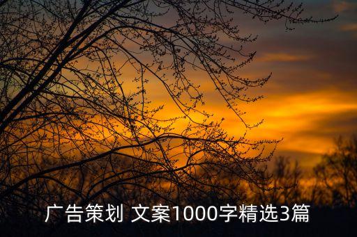 廣告策劃 文案1000字精選3篇