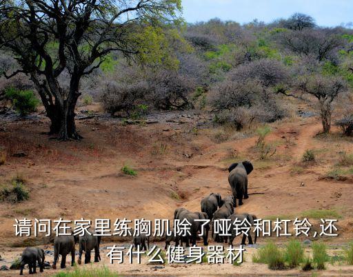 請問在家里練胸肌除了啞鈴和杠鈴,還有什么健身器材