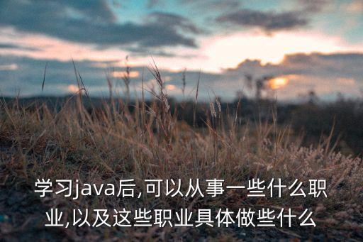 學(xué)習(xí)java后,可以從事一些什么職業(yè),以及這些職業(yè)具體做些什么