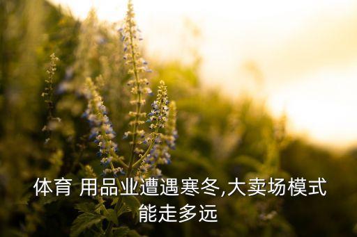  體育 用品業(yè)遭遇寒冬,大賣場(chǎng)模式能走多遠(yuǎn)