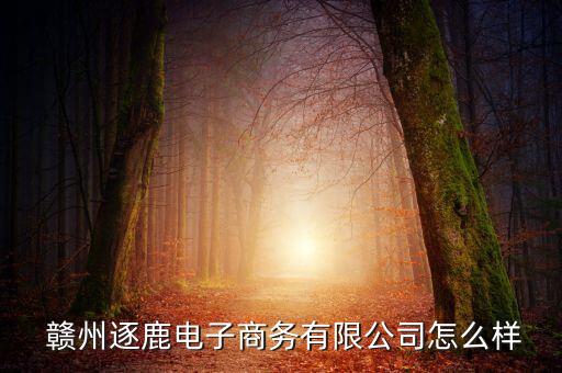  贛州逐鹿電子商務(wù)有限公司怎么樣