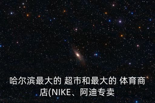 哈爾濱最大的 超市和最大的 體育商店(NIKE、阿迪專賣